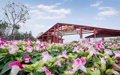 优德88(中国区)最新官方网站