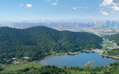 优德88(中国区)最新官方网站