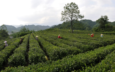 优德88(中国区)最新官方网站