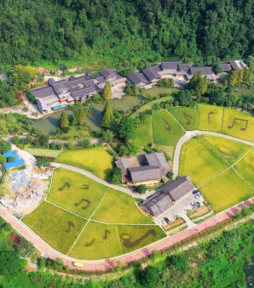 优德88(中国区)最新官方网站